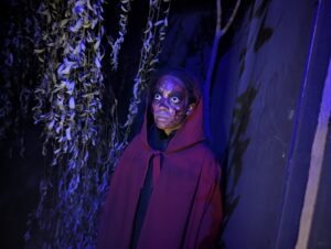 The Howl Review ()