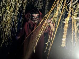 The Howl Review ()