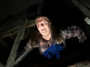 The Howl Review ()