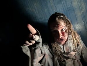 The Howl Review ()