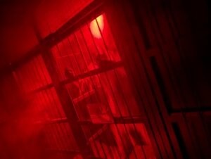 Thorpe Park Fright Nights Review ()
