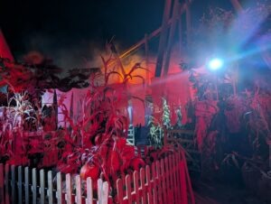 Thorpe Park Fright Nights Review ()