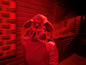 Trail of Terror at Colchester Zoo Review ()