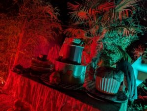 Trail of Terror at Colchester Zoo Review ()