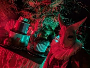Trail of Terror at Colchester Zoo Review ()