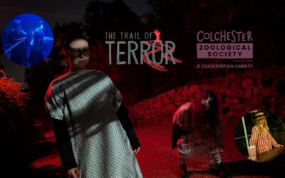 Trail of Terror at Colchester Zoo 2026 Review