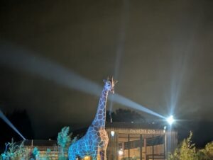 Trail of Terror at Colchester Zoo Review ()
