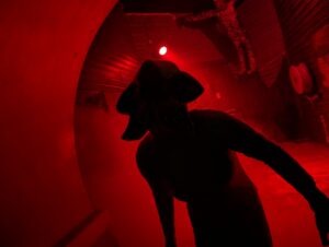 Trail of Terror at Colchester Zoo Review ()