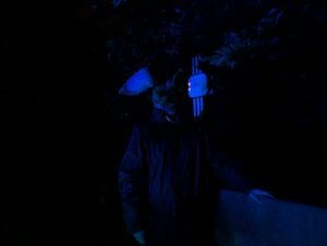 Trail of Terror at Colchester Zoo Review ()