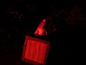 Trail of Terror at Colchester Zoo Review ()