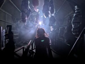 Trinity Scares Review ()