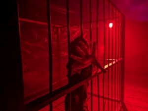Trinity Scares Review ()