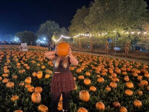 Tulleys Pumpkin Nights Review ()
