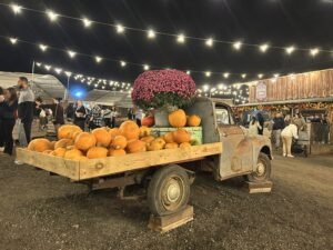Tulleys Pumpkin Nights Review ()