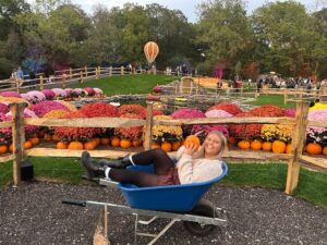 Tulleys Pumpkin Nights Review ()