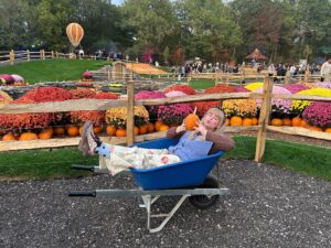 Tulleys Pumpkin Nights Review ()