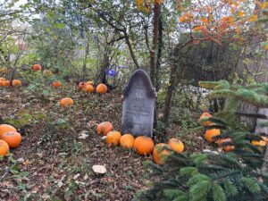 Tulleys Pumpkin Nights Review ()