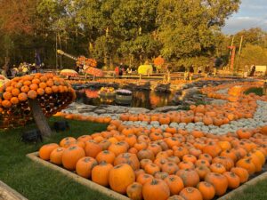 Tulleys Pumpkin Nights Review ()