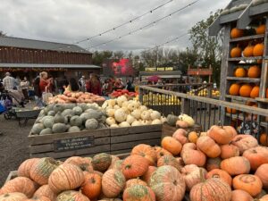 Tulleys Pumpkin Nights Review ()