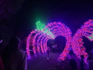 Tulleys Pumpkin Nights Review ()