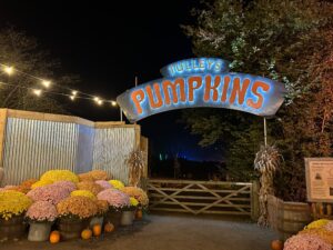 Tulleys Pumpkin Nights Review ()