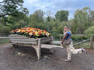 Tulleys Pumpkin Nights Review ()