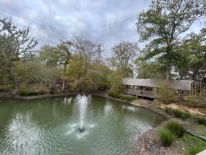 Tulleys Pumpkin Nights Review ()