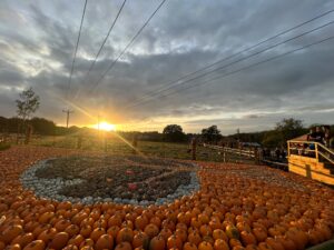 Tulleys Pumpkin Nights Review ()