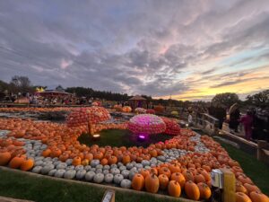 Tulleys Pumpkin Nights Review ()