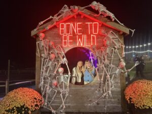 Tulleys Pumpkin Nights Review ()
