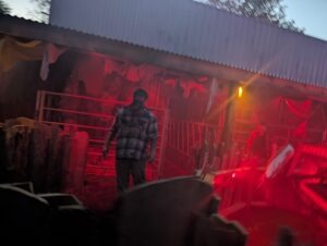 Tulleys Shocktoberfest Review ()