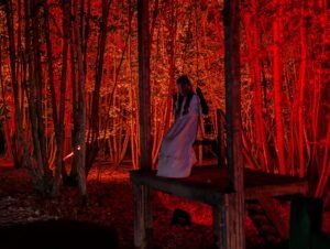 Tulleys Shocktoberfest Review ()