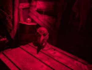 Village of the Cursed Review ()
