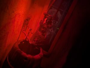 Village of the Cursed Review ()
