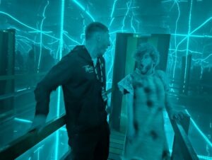 York Hallowscream Review ()