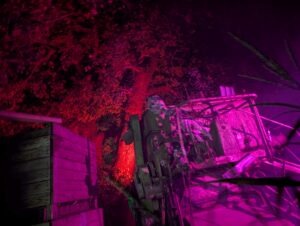 York Hallowscream Review ()