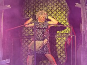 York Hallowscream Review ()