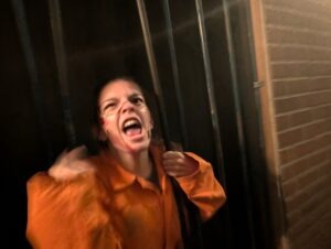 York Hallowscream Review ()