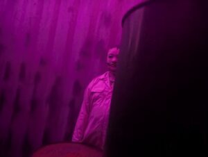 York Hallowscream Review ()