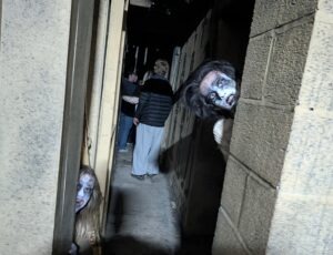 York Hallowscream Review ()