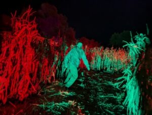 York Hallowscream Review ()