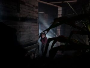 York Hallowscream Review ()