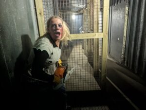 York Hallowscream Review ()
