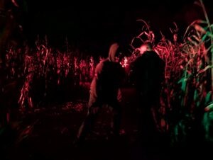 York Hallowscream Review ()
