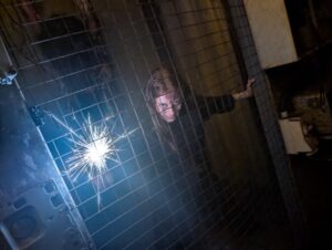 York Hallowscream Review ()